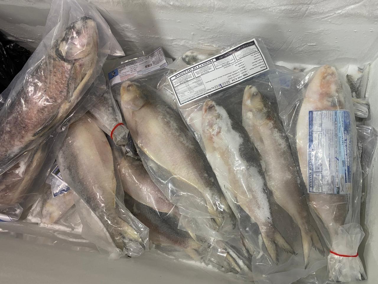 Additional fresh fish options